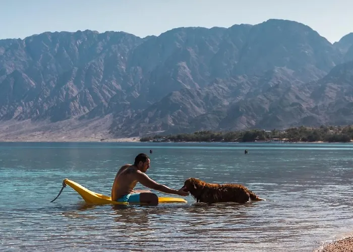 Bohemian Assala With Private Pool Dahab